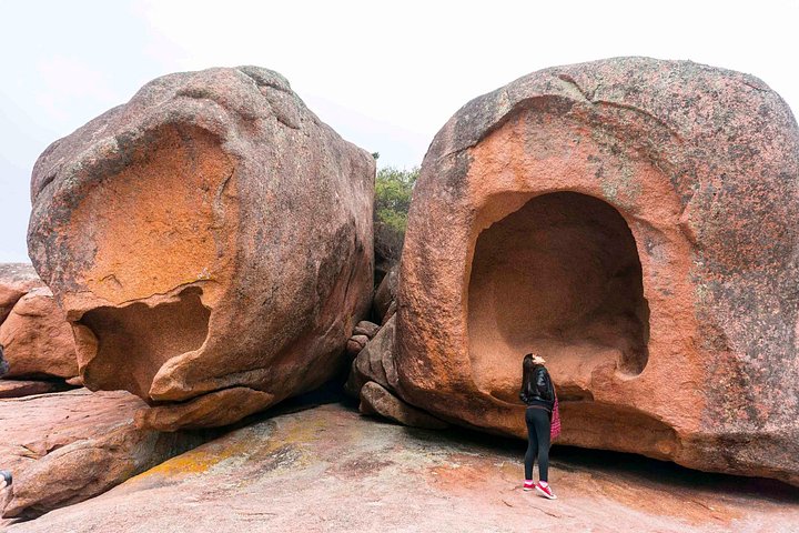 Passeio de dia inteiro a Wineglass Bay e Parque Nacional Freycinet a partir de Hobart, incluindo viagens panorâmicas e locais históricos, foto 20 | wizardtrip