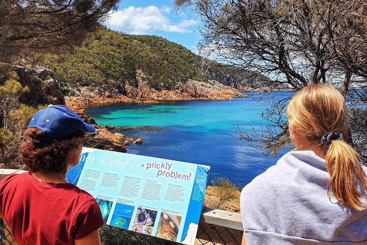 Passeio de dia inteiro a Wineglass Bay e Parque Nacional Freycinet a partir de Hobart, incluindo viagens panorâmicas e locais históricos, foto 21 | wizardtrip