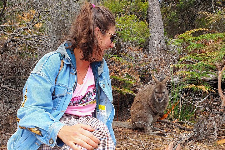 Passeio de dia inteiro a Wineglass Bay e Parque Nacional Freycinet a partir de Hobart, incluindo viagens panorâmicas e locais históricos, foto 26 | wizardtrip