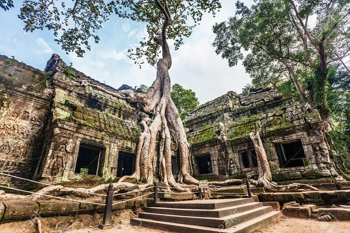 Explorez les temples khmers anciens comme Angkor Wat et Ta Prohm à Siem Reap, photo 10 | wizardtrip