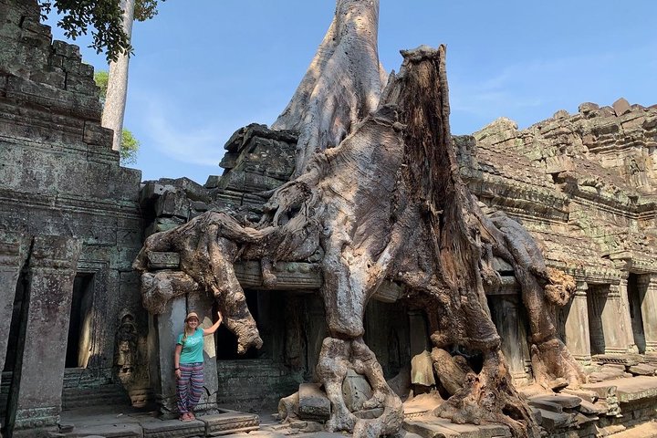 Explorez les temples khmers anciens comme Angkor Wat et Ta Prohm à Siem Reap, photo 15 | wizardtrip