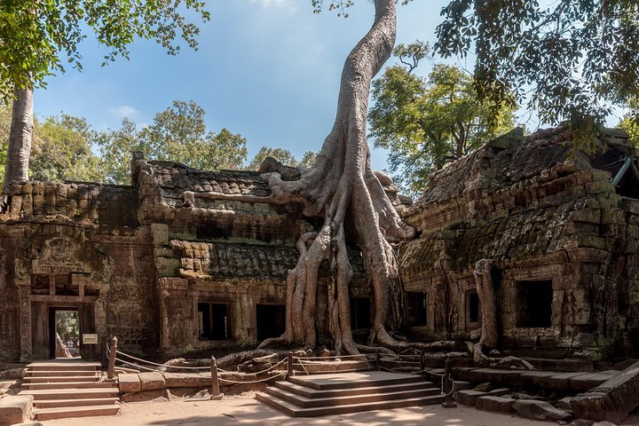Explorez les temples khmers anciens comme Angkor Wat et Ta Prohm à Siem Reap, photo 18 | wizardtrip