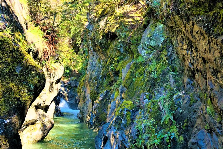 Lord of the Rings filming locations tour from Queenstown, New Zealand, photo 18 | wizardtrip