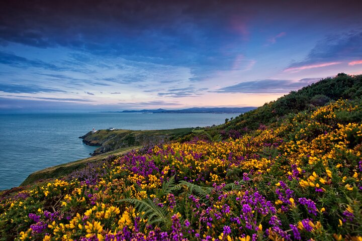 Howth Kust Halfdaagse Bus Tour vanuit Dublin met Live Gids | wizardtrip