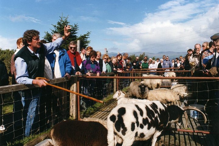 Naturskøn heldagstur på Ring of Kerry fra Killarney, Irland, med kystudsigter og nationalparklandskaber, foto 8 | wizardtrip