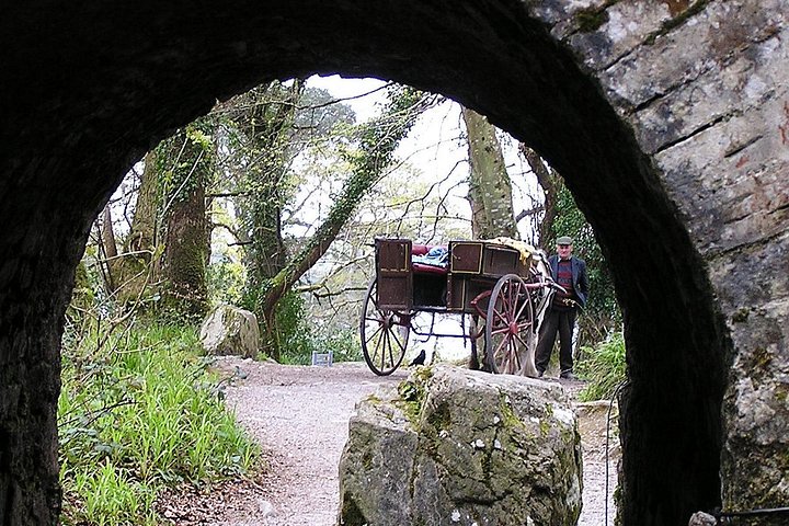 Naturskøn heldagstur på Ring of Kerry fra Killarney, Irland, med kystudsigter og nationalparklandskaber, foto 10 | wizardtrip