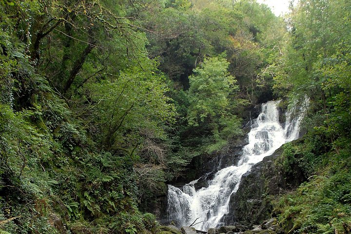 Naturskøn heldagstur på Ring of Kerry fra Killarney, Irland, med kystudsigter og nationalparklandskaber, foto 13 | wizardtrip
