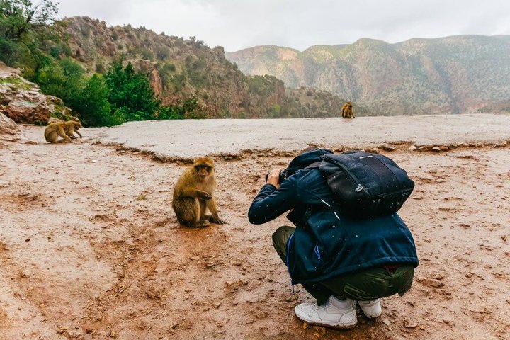 マラケシュ近郊の見事なウズードの滝でのガイド付きハイキングとボートツアー、写真14 | wizardtrip