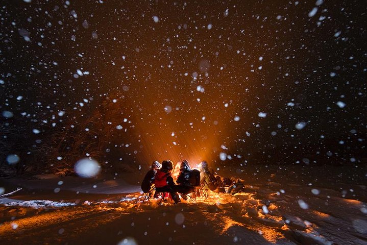 Búsqueda de Aurora Boreal en Tromsø con fogata, comida y equipo de invierno proporcionado, foto 6 | wizardtrip