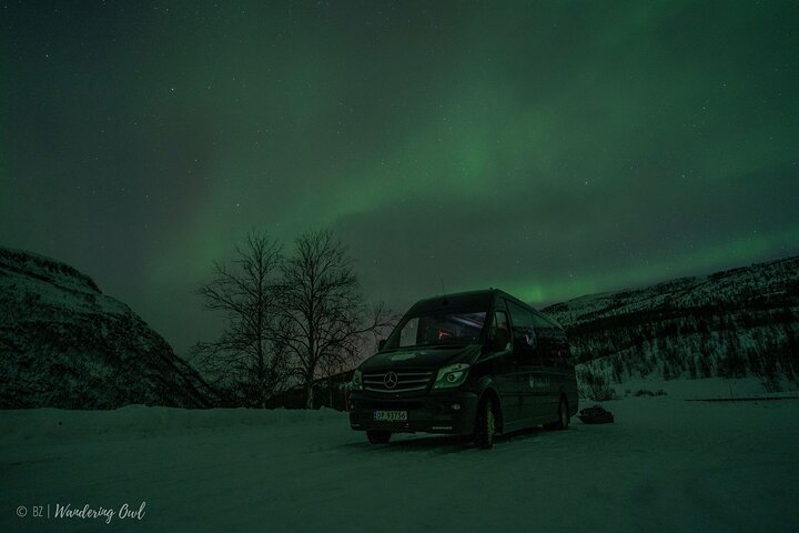 Búsqueda de Aurora Boreal en Tromsø con fogata, comida y equipo de invierno proporcionado, foto 8 | wizardtrip