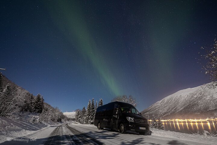 Búsqueda de Aurora Boreal en Tromsø con fogata, comida y equipo de invierno proporcionado, foto 11 | wizardtrip
