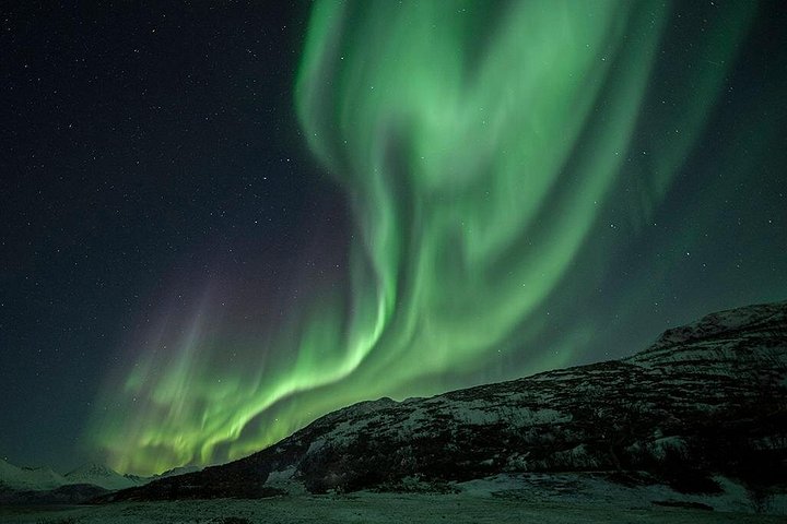 Búsqueda de Aurora Boreal en Tromsø con fogata, comida y equipo de invierno proporcionado, foto 14 | wizardtrip