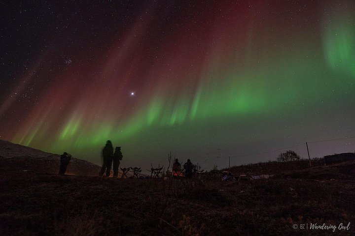 Búsqueda de Aurora Boreal en Tromsø con fogata, comida y equipo de invierno proporcionado, foto 20 | wizardtrip