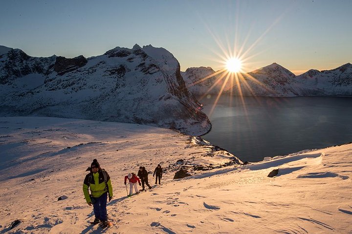Sneeuwschoenwandelen Tromsø - Vallei, Fjorduitzicht, Wildlife, Maaltijd & Ophaalservice | wizardtrip