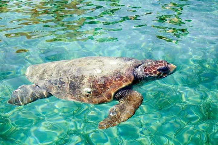 Belize | wizardtrip