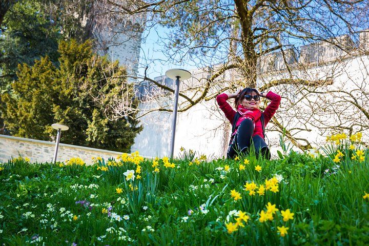 Naturskjønn spasertur og båttur i Luzern, Sveits, med historiske broer, innsjøer og fjell, foto 11 | wizardtrip