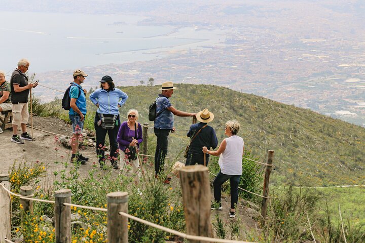 Heldagstur fra Napoli til Pompeii og Vesuv, utforsker gamle ruiner og vulkanske landskap, foto 10 | wizardtrip