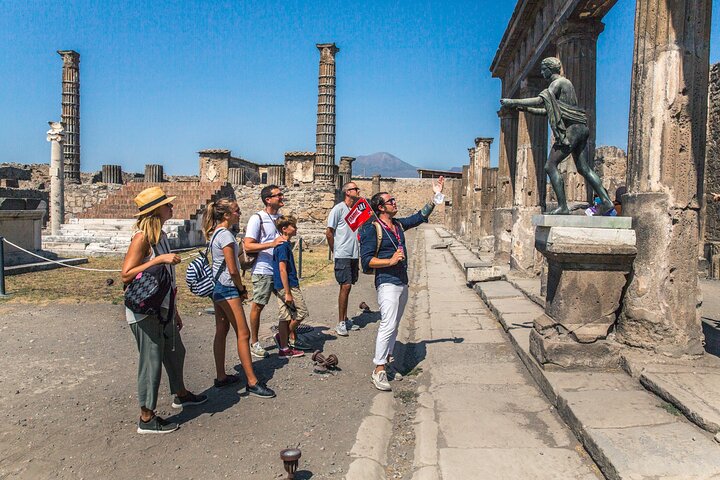 Heldagstur fra Napoli til Pompeii og Vesuv, utforsker gamle ruiner og vulkanske landskap, foto 12 | wizardtrip
