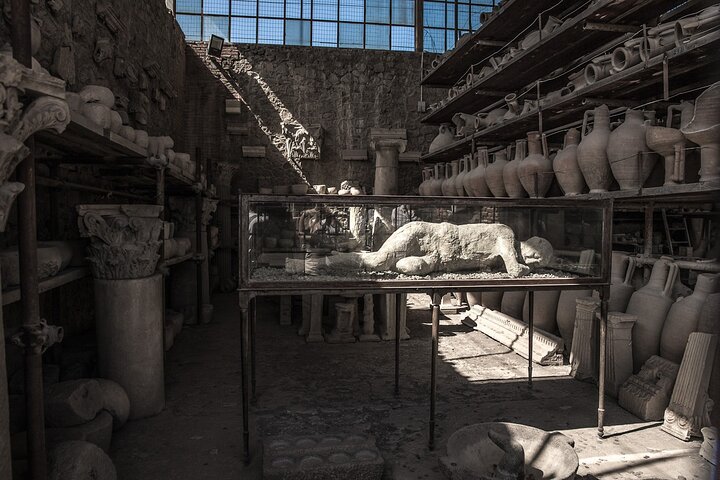 Heldagstur fra Napoli til Pompeii og Vesuv, utforsker gamle ruiner og vulkanske landskap, foto 15 | wizardtrip