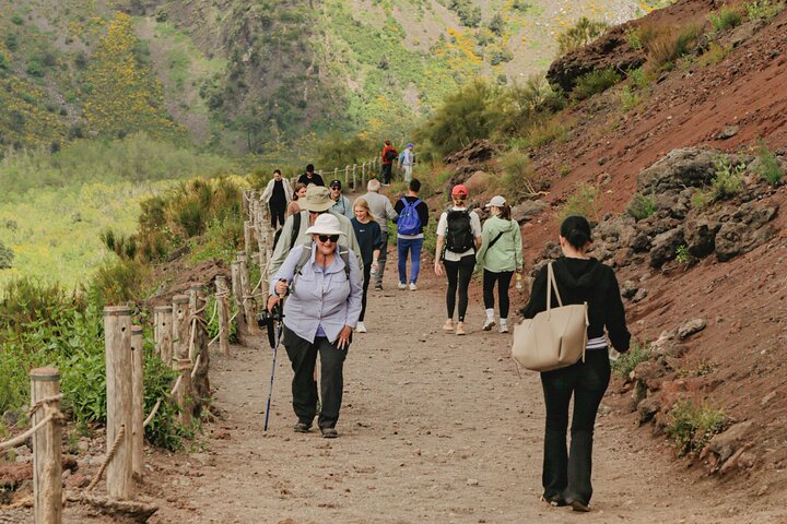 Erkunden Sie die antiken Ruinen von Pompeji und den Vulkankrater des Vesuvs auf einer ganztägigen geführten Tour von Sorrent aus, Foto 17 | wizardtrip