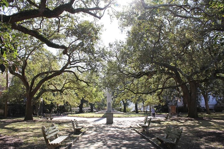 Charleston Food Tour mit ikonischen Gerichten und historischen Wahrzeichen, Foto 15 | wizardtrip