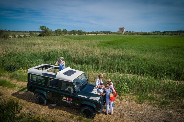 Passeio de safari 4x4 na Camargue desde Le Grau-du-Roi, França, com vida selvagem e paisagens, foto 6 | wizardtrip