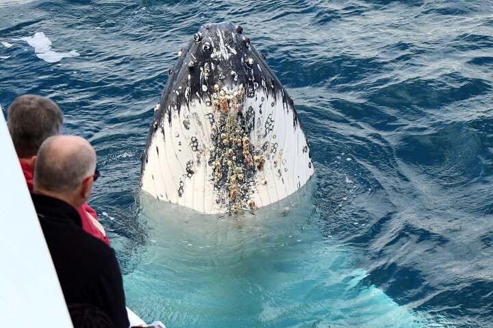 Hervey Bay | wizardtrip