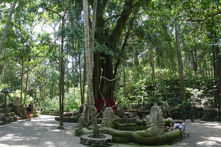 Erkunden Sie Balis kulturelles Herz und Naturwunder auf einer geführten Ganztagestour von Seminyak, Foto 10 | wizardtrip