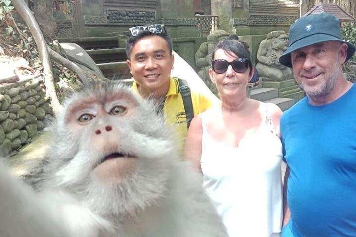 Erkunden Sie Balis kulturelles Herz und Naturwunder auf einer geführten Ganztagestour von Seminyak, Foto 13 | wizardtrip
