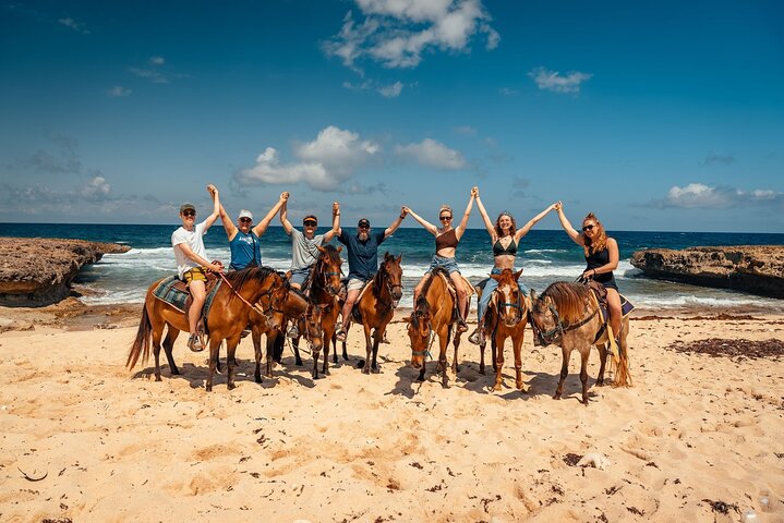 Aruba Ökologisches & Küsten-Ausritt mit Fotostopp am Strand | wizardtrip