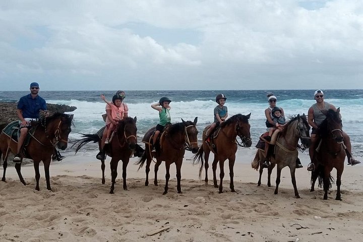 アルバの風光明媚な海岸線と砂漠のトレイル沿いの乗馬アドベンチャー、写真17 | wizardtrip
