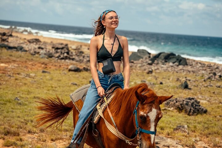 アルバの風光明媚な海岸線と砂漠のトレイル沿いの乗馬アドベンチャー、写真21 | wizardtrip
