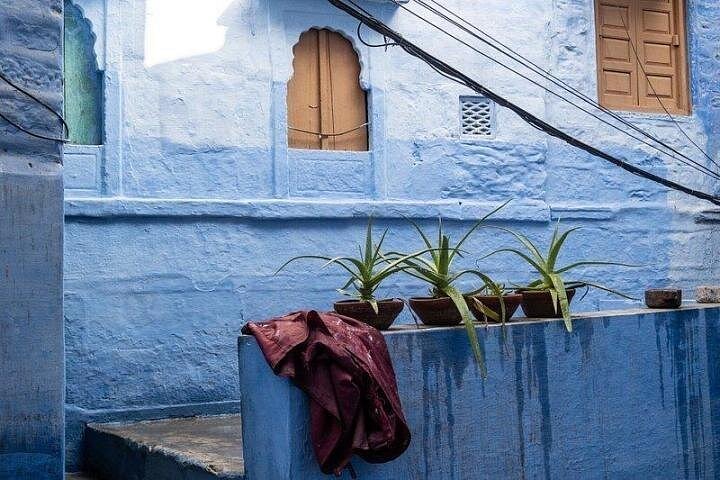 Une visite guidée à pied à travers les rues bleues vibrantes et les sites patrimoniaux de Jodhpur, en Inde, photo 11 | wizardtrip