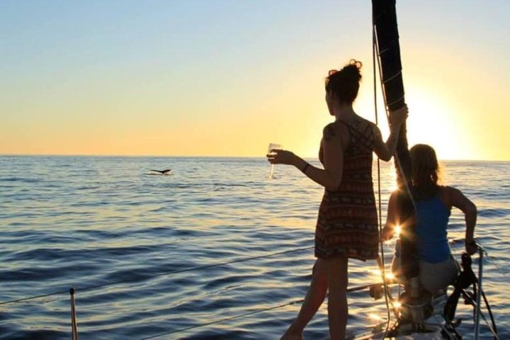 Solnedgang seilkryssning i Cabo San Lucas, Mexico, med ikoniske landemerker og vakker havutsikt, foto 10 | wizardtrip