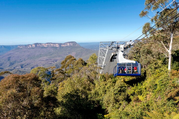 Excursão cénica de um dia às Blue Mountains a partir de Sydney, com vida selvagem, formações rochosas e passeios cénicos, foto 10 | wizardtrip