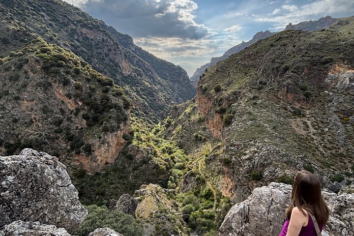 Safari dans la Sierra Nevada – Excursion en petit groupe jusqu'à 2 500 mètres | wizardtrip