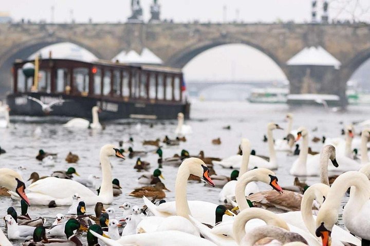 Prague Charles Bridge guided walk and Vltava river cruise, photo 7 | wizardtrip