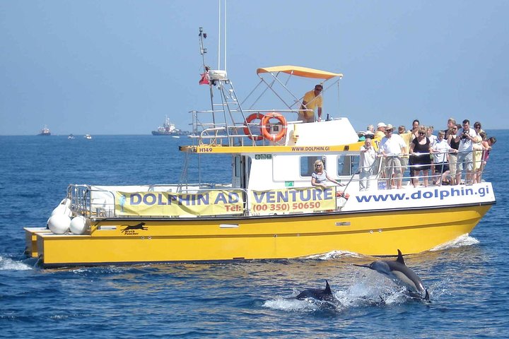 Nyt en spennende hvalsafari i Gibraltarbukten og se ville delfiner, foto 2 | wizardtrip
