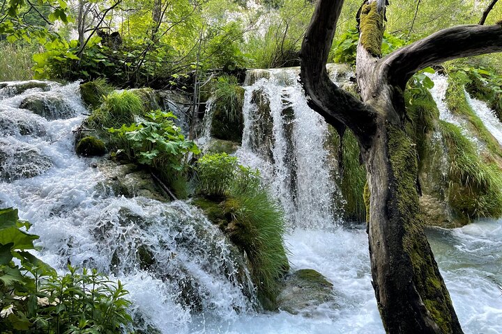 Heldags guidad tur från Zagreb till nationalparken Plitvicesjöarna och byn Rastoke, Kroatien, foto 19 | wizardtrip