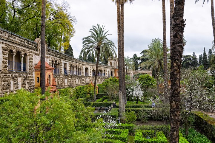 Guided tour of Seville's Alcazar and Cathedral, including the Giralda Tower and gardens, photo 10 | wizardtrip