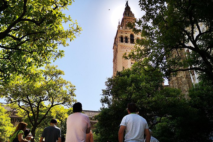 Guided tour of Seville's Alcazar and Cathedral, including the Giralda Tower and gardens, photo 16 | wizardtrip