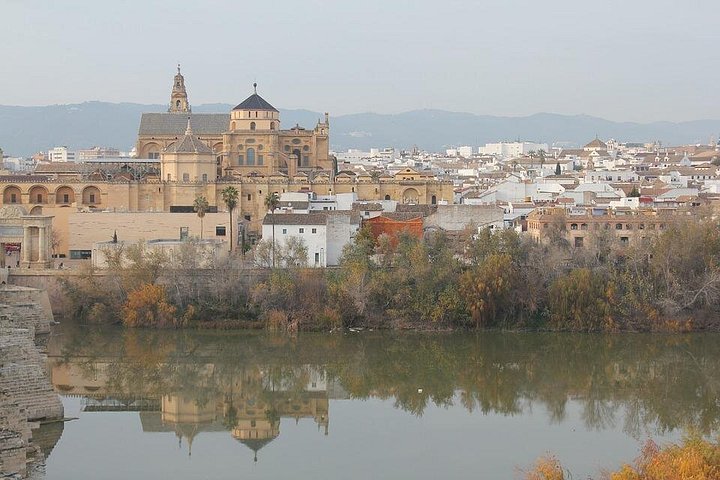 Full-day tour from Seville to Cordoba and Carmona, featuring historical sites and cultural landmarks, photo 9 | wizardtrip