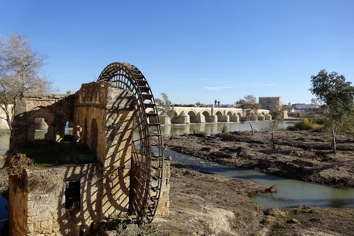 Full-day tour from Seville to Cordoba and Carmona, featuring historical sites and cultural landmarks, photo 14 | wizardtrip
