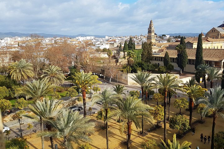 Full-day tour from Seville to Cordoba and Carmona, featuring historical sites and cultural landmarks, photo 16 | wizardtrip