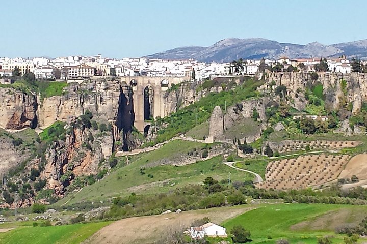 Guided tour of the white villages and Ronda from Seville, showcasing Andalusian culture and landscapes, photo 7 | wizardtrip