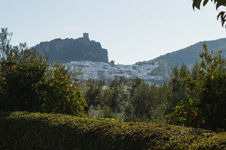 Guided tour of the white villages and Ronda from Seville, showcasing Andalusian culture and landscapes, photo 17 | wizardtrip