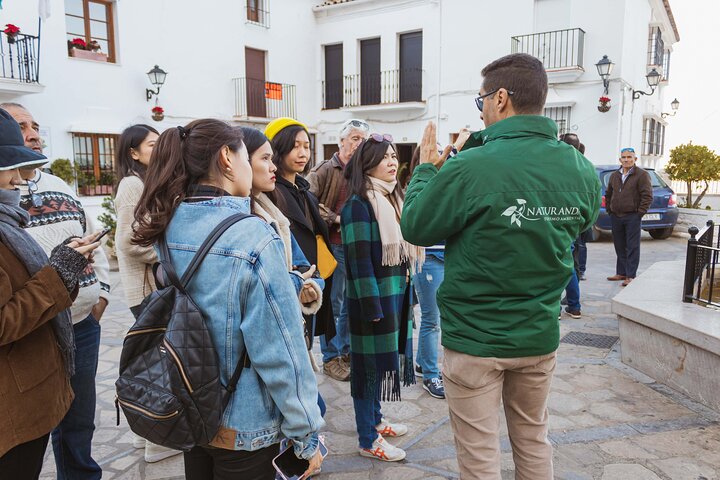 Guided tour of the white villages and Ronda from Seville, showcasing Andalusian culture and landscapes, photo 19 | wizardtrip