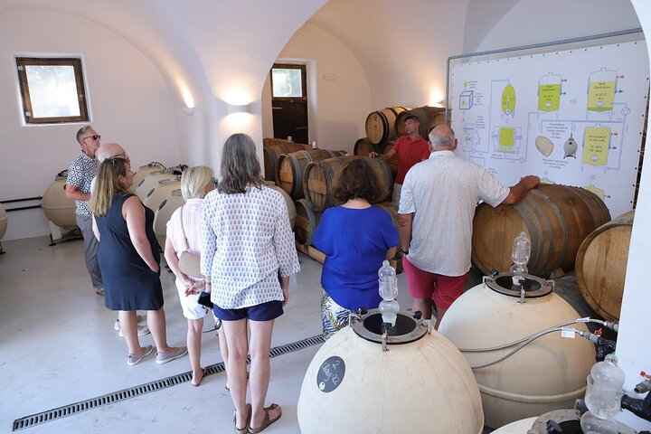 Santorini Weinreise mit Verkostung und Sonnenuntergangsblick, Foto 10 | wizardtrip