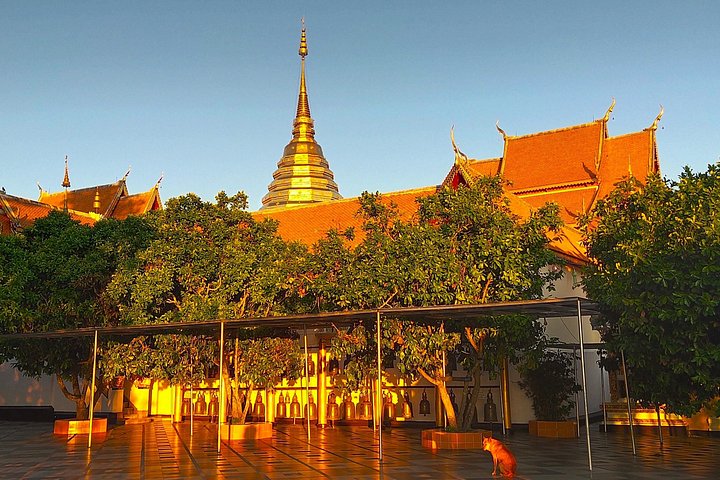 Spirituele zonsopgang tour bij Wat Phra That Doi Suthep tempel in Chiang Mai, Thailand, foto 23 | wizardtrip