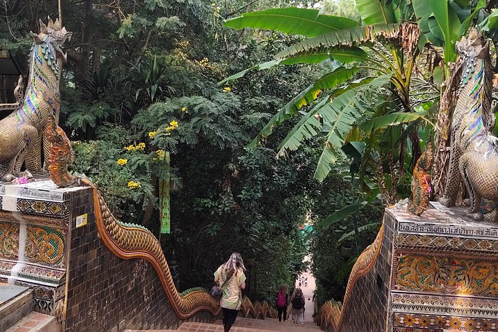 Spirituele zonsopgang tour bij Wat Phra That Doi Suthep tempel in Chiang Mai, Thailand, foto 26 | wizardtrip